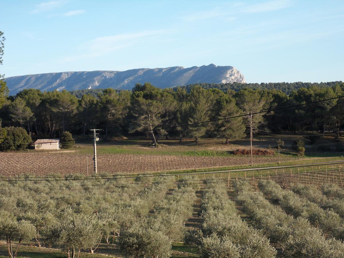 ヴネル Domaine De L'Olibaou Bed & Breakfast エクステリア 写真